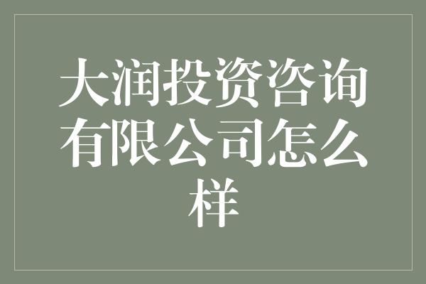 大润投资咨询有限公司怎么样