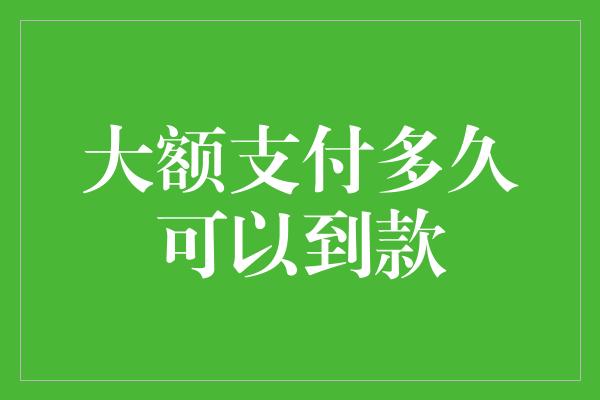 大额支付多久可以到款