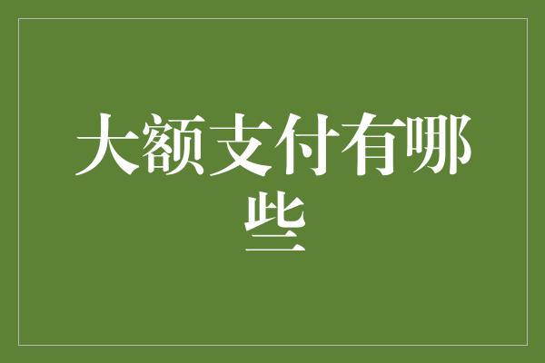 大额支付有哪些