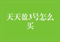 天天盈3号：专业投资者与新手入门的理财利器