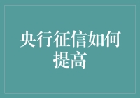 央行征信系统：提升金融信用评估的新策略