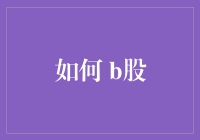 如何理性投资B股市场：价值发现与风险管理