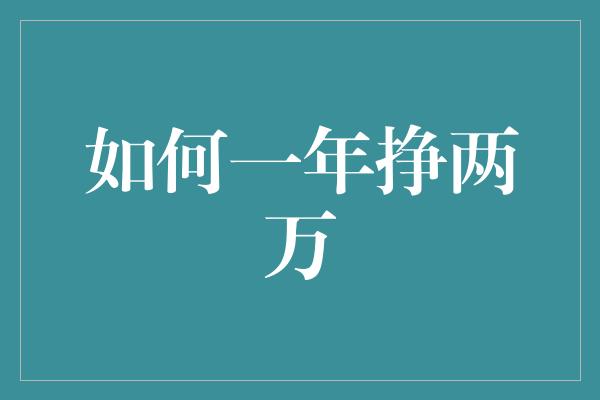 如何一年挣两万