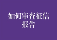 如何专业地审查个人征信报告：一份详尽的指南