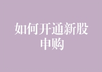 如何开通新股申购：掌握资本市场新兵的登陆指南