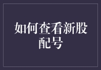 如何查看新股配号：一场数字寻宝记