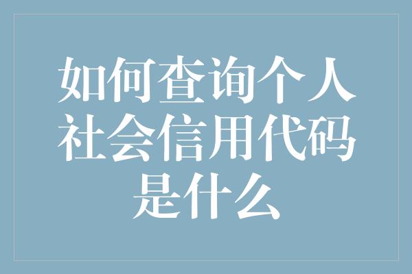 如何查询个人社会信用代码是什么