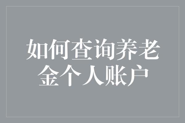 如何查询养老金个人账户