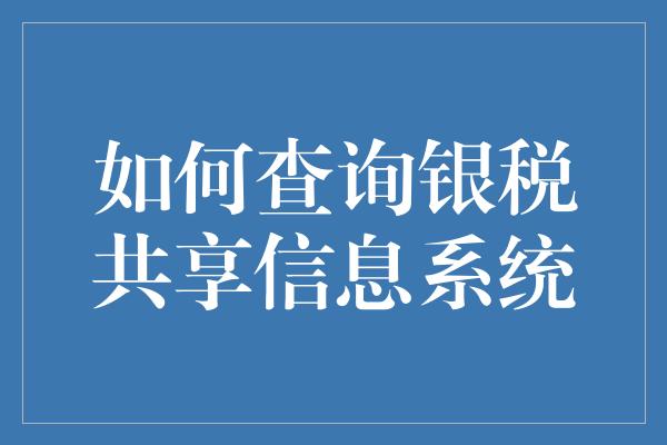 如何查询银税共享信息系统