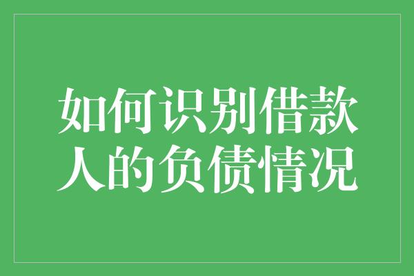 如何识别借款人的负债情况