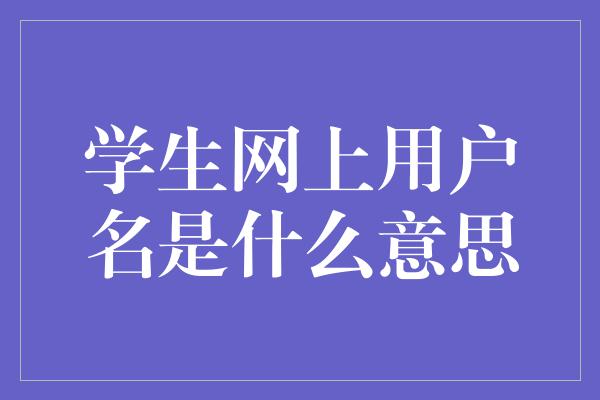 学生网上用户名是什么意思