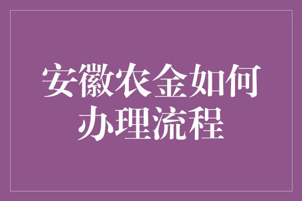 安徽农金如何办理流程