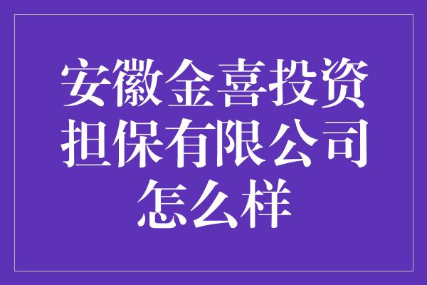 安徽金喜投资担保有限公司怎么样