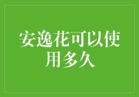 从初绽到凋零：安逸花的生命周期与使用时长分析