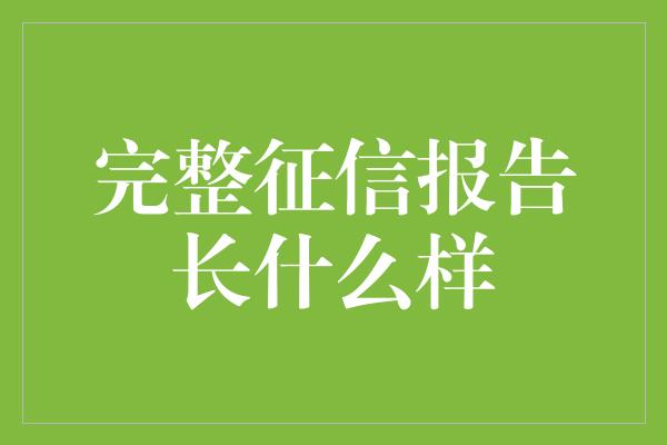 完整征信报告长什么样