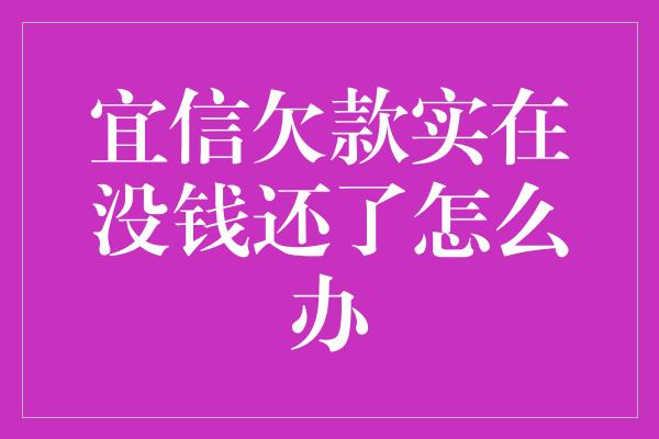 宜信欠款实在没钱还了怎么办