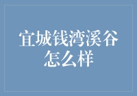 宜城钱湾溪谷银行：打造智慧金融新生态