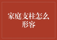 当全家人都在仰望星空，谁是那只脚踏实地的巨石？——揭秘家庭支柱的神秘身份