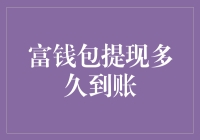 如何确保富钱包提现速达：策略与技巧