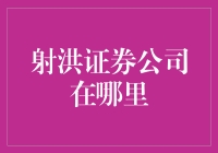 射洪证券公司地理位置及其在金融行业中的地位分析