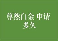 等待的耐心：解析尊然白金信用卡申请审批的全过程