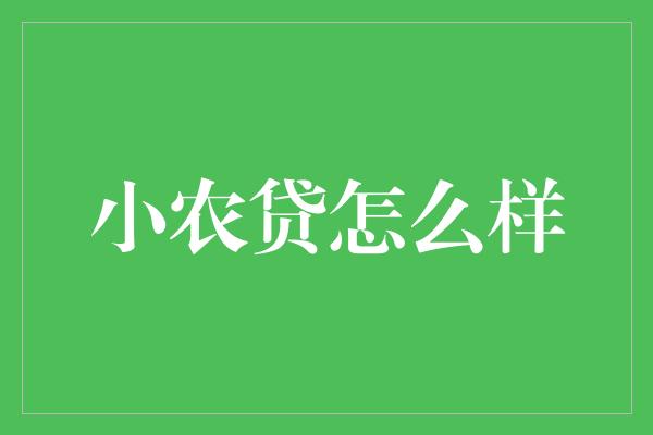 小农贷怎么样