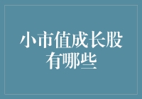 小市值成长股：潜力无限的选择？