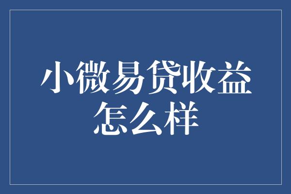 小微易贷收益怎么样