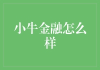 小牛金融：科技驱动的金融创新引领者