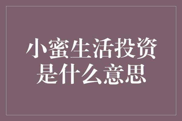 小蜜生活投资是什么意思