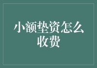 小额垫资的费用构成与收费标准解析