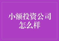 小额投资公司？别逗了，那是啥玩意儿？