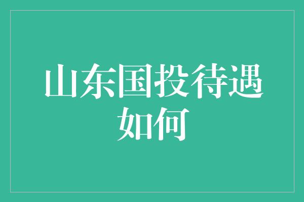 山东国投待遇如何