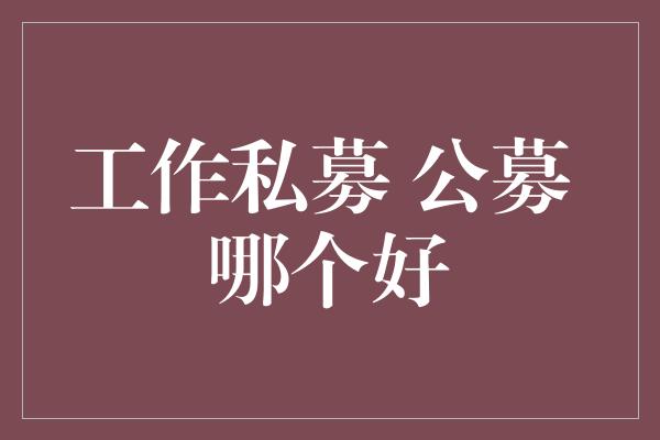 工作私募 公募 哪个好