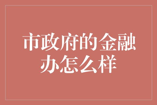 市政府的金融办怎么样