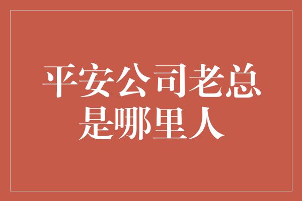 平安公司老总是哪里人