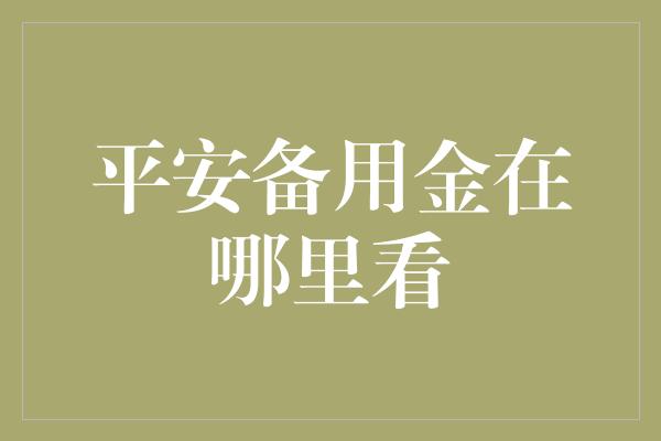 平安备用金在哪里看