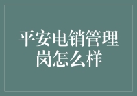 平安电销管理岗：一份充满挑战与机遇的职场角色