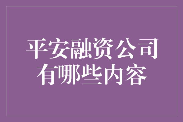 平安融资公司有哪些内容