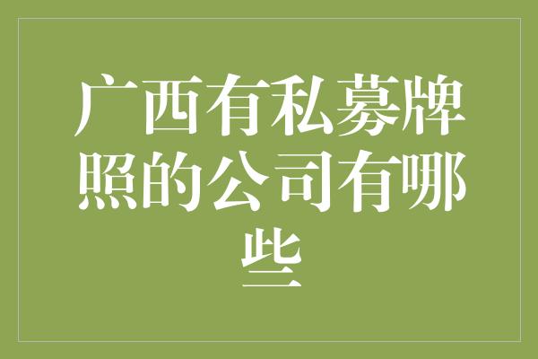 广西有私募牌照的公司有哪些