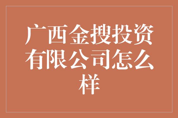 广西金搜投资有限公司怎么样