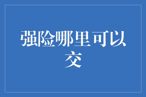 强险哪里可以交