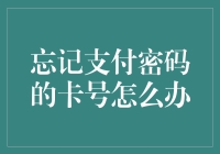 如何优雅地处理忘记支付密码且无法找到卡号的情况？