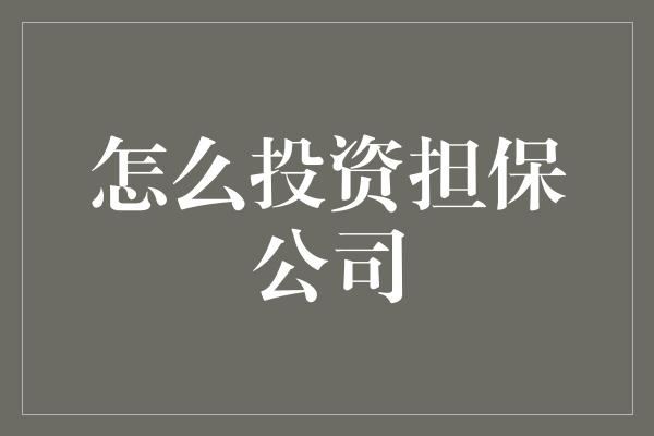 怎么投资担保公司