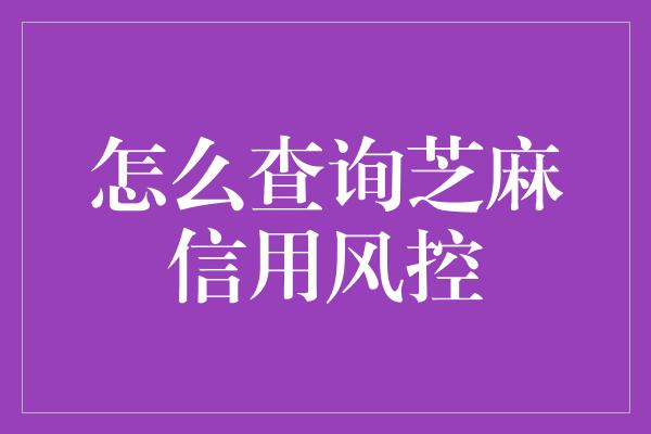 怎么查询芝麻信用风控