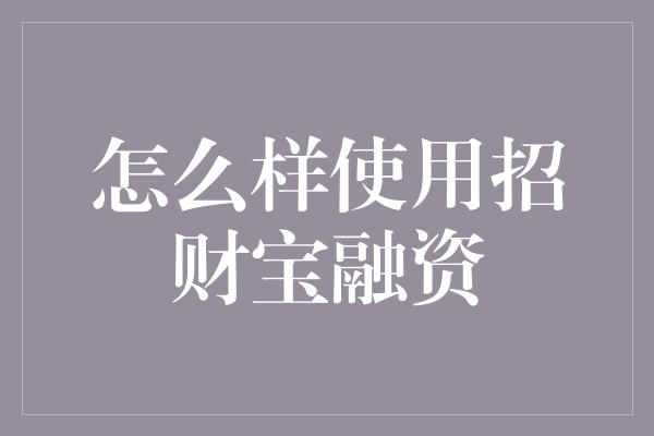 怎么样使用招财宝融资