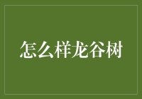 龙谷树：从天而降的东方神树与我的奇妙碰撞