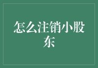 详解如何高效注销小股东身份：策略与步骤