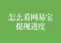 网易宝提现进度，犹如追踪快递的猫和老鼠游戏