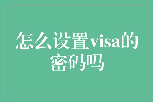 怎么设置visa的密码吗